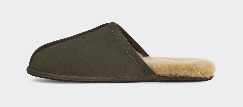 Pantuflas Ugg Scuff Hombre Verde Oliva | Argentina XHSJQZB-25