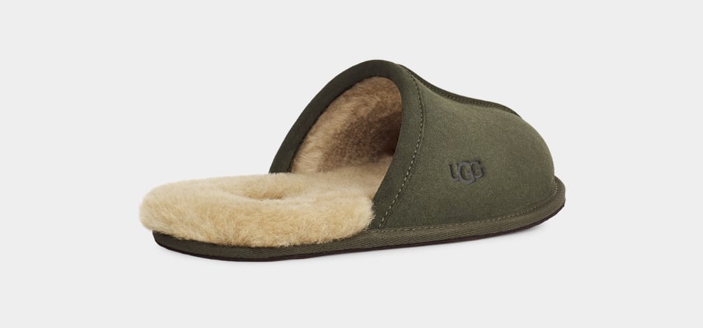 Pantuflas Ugg Scuff Hombre Verde Oliva | Argentina XHSJQZB-25