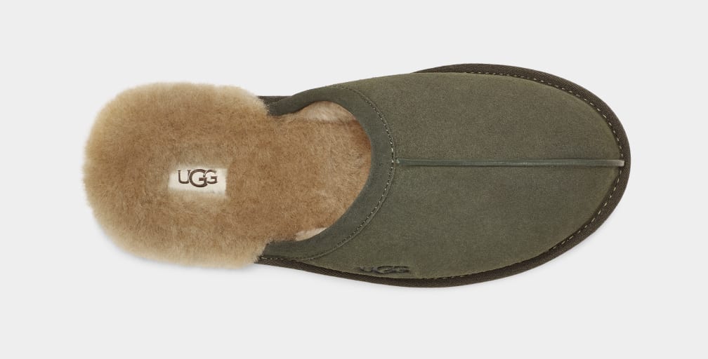 Pantuflas Ugg Scuff Hombre Verde Oliva | Argentina XHSJQZB-25