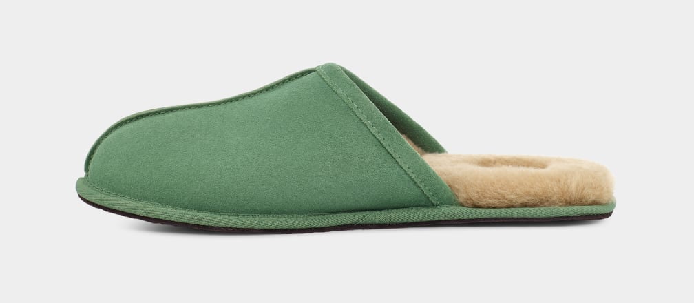 Pantuflas Ugg Scuff Hombre Verde | Argentina FOSJAIC-23