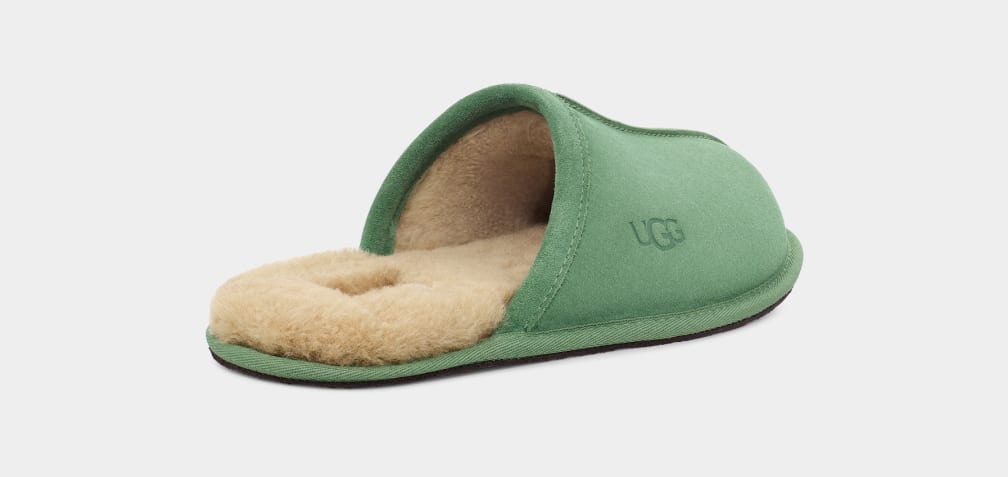 Pantuflas Ugg Scuff Hombre Verde | Argentina FOSJAIC-23