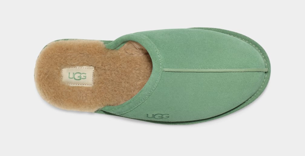 Pantuflas Ugg Scuff Hombre Verde | Argentina FOSJAIC-23