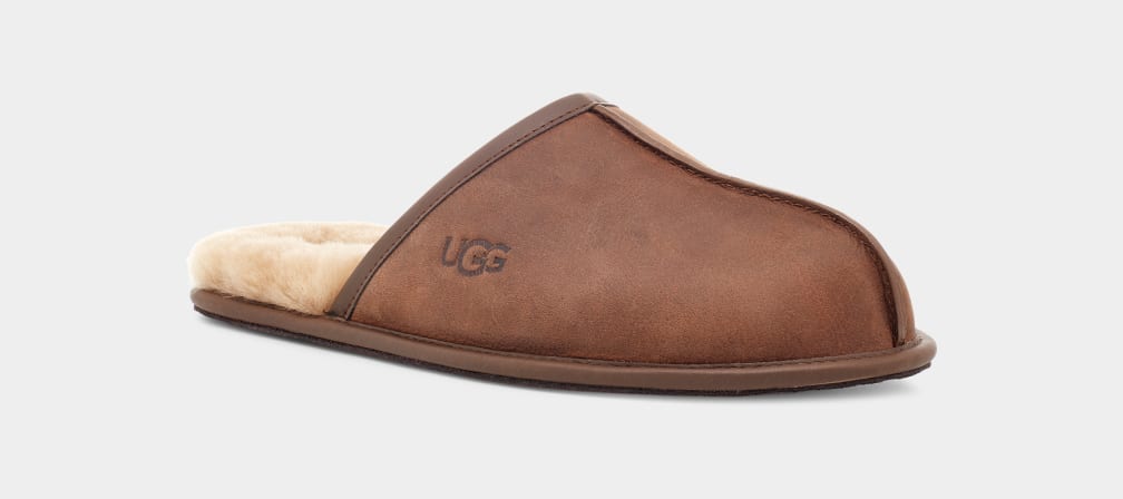 Pantuflas Ugg Scuff Leather Hombre Marrones | Argentina ZPJARIU-21