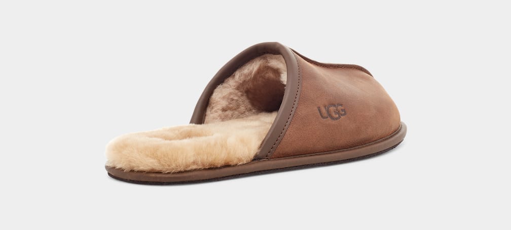 Pantuflas Ugg Scuff Leather Hombre Marrones | Argentina ZPJARIU-21