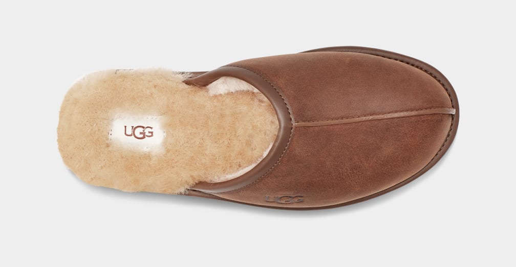 Pantuflas Ugg Scuff Leather Hombre Marrones | Argentina ZPJARIU-21