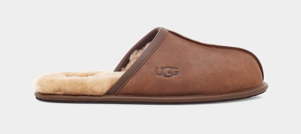 Pantuflas Ugg Scuff Leather Hombre Marrones | Argentina ZPJARIU-21