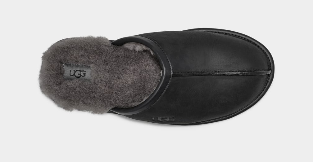 Pantuflas Ugg Scuff Leather Hombre Negras | Argentina KQOBYUD-05