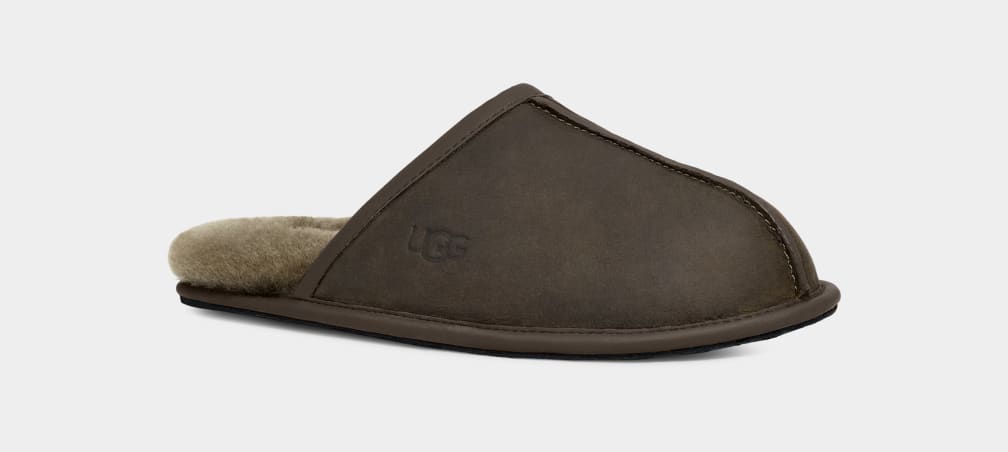 Pantuflas Ugg Scuff Leather Hombre Verde Oliva | Argentina KNVXTLQ-52