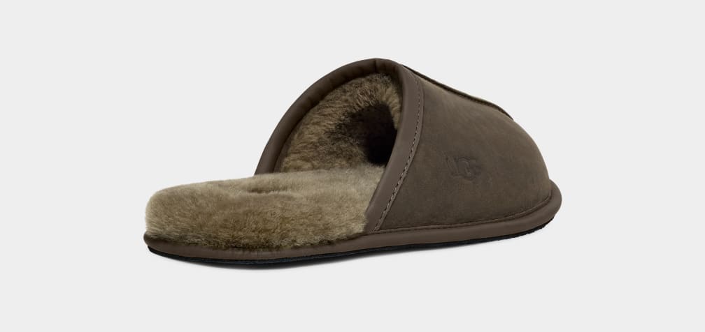 Pantuflas Ugg Scuff Leather Hombre Verde Oliva | Argentina KNVXTLQ-52