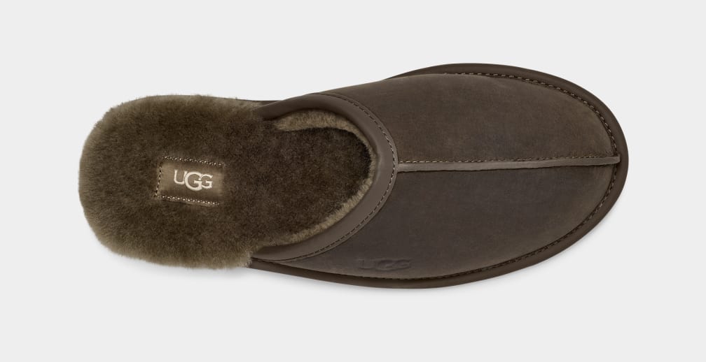 Pantuflas Ugg Scuff Leather Hombre Verde Oliva | Argentina KNVXTLQ-52