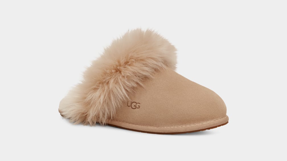 Pantuflas Ugg Scuff Sis Mujer Marrones | Argentina QIXRTVC-94