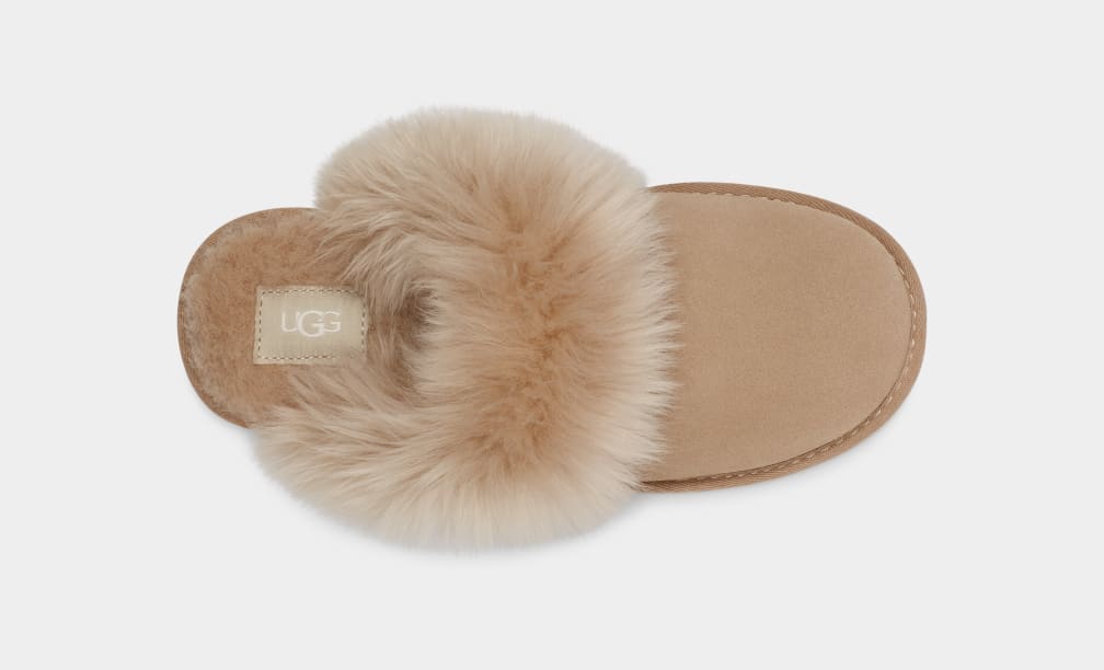 Pantuflas Ugg Scuff Sis Mujer Marrones | Argentina QIXRTVC-94