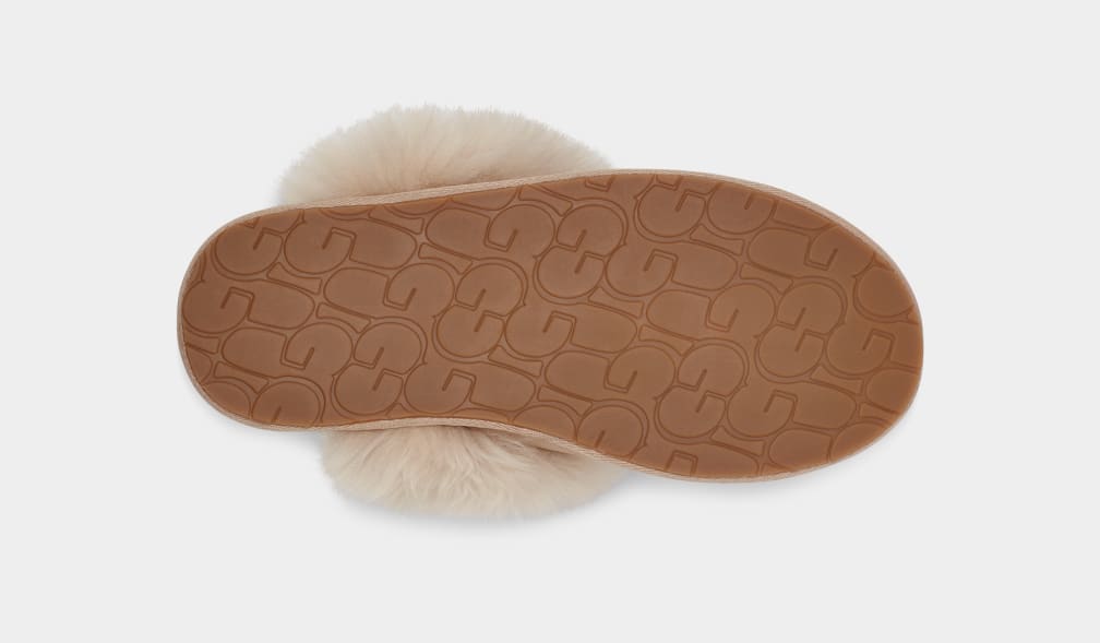 Pantuflas Ugg Scuff Sis Mujer Marrones | Argentina QIXRTVC-94