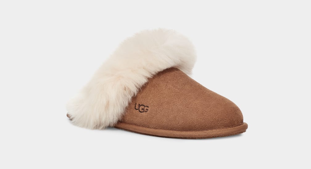 Pantuflas Ugg Scuff Sis Mujer Marrones | Argentina JVOIUHD-41