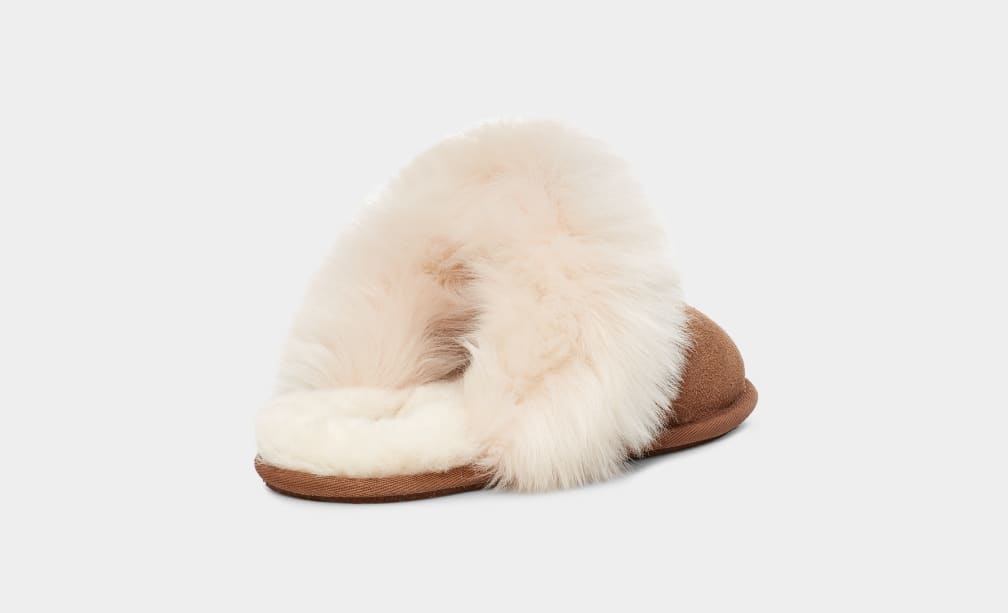 Pantuflas Ugg Scuff Sis Mujer Marrones | Argentina JVOIUHD-41