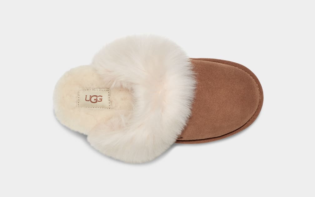 Pantuflas Ugg Scuff Sis Mujer Marrones | Argentina JVOIUHD-41