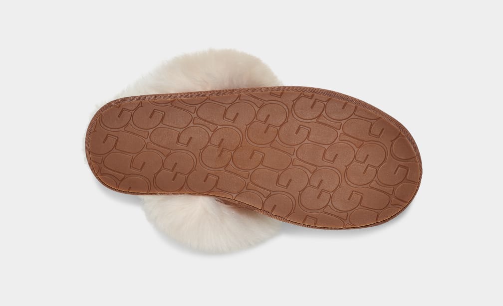 Pantuflas Ugg Scuff Sis Mujer Marrones | Argentina JVOIUHD-41