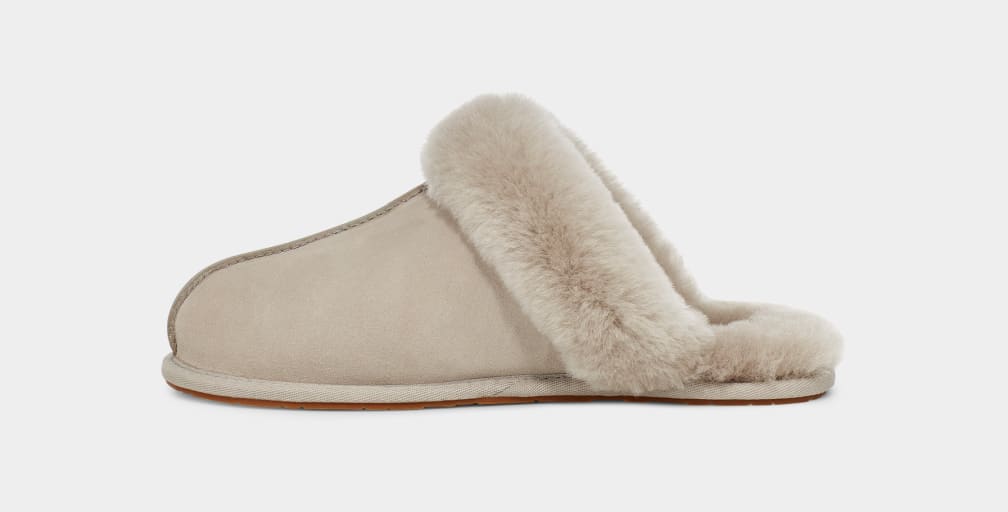 Pantuflas Ugg Scuffette II Mujer Gris | Argentina IHOLTBU-80