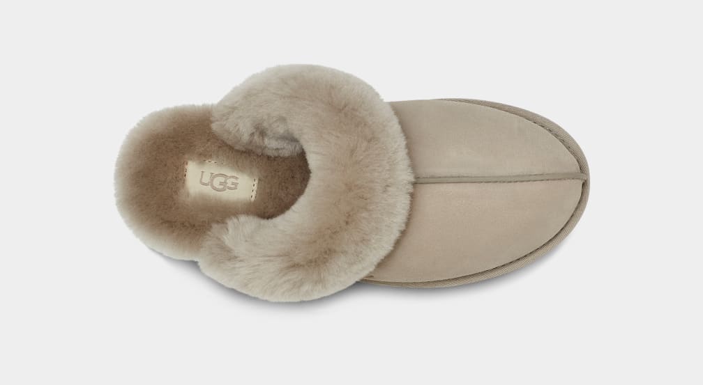 Pantuflas Ugg Scuffette II Mujer Gris | Argentina IHOLTBU-80