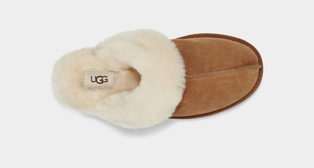 Pantuflas Ugg Scuffette II Mujer Marrones | Argentina GBMRCDL-47