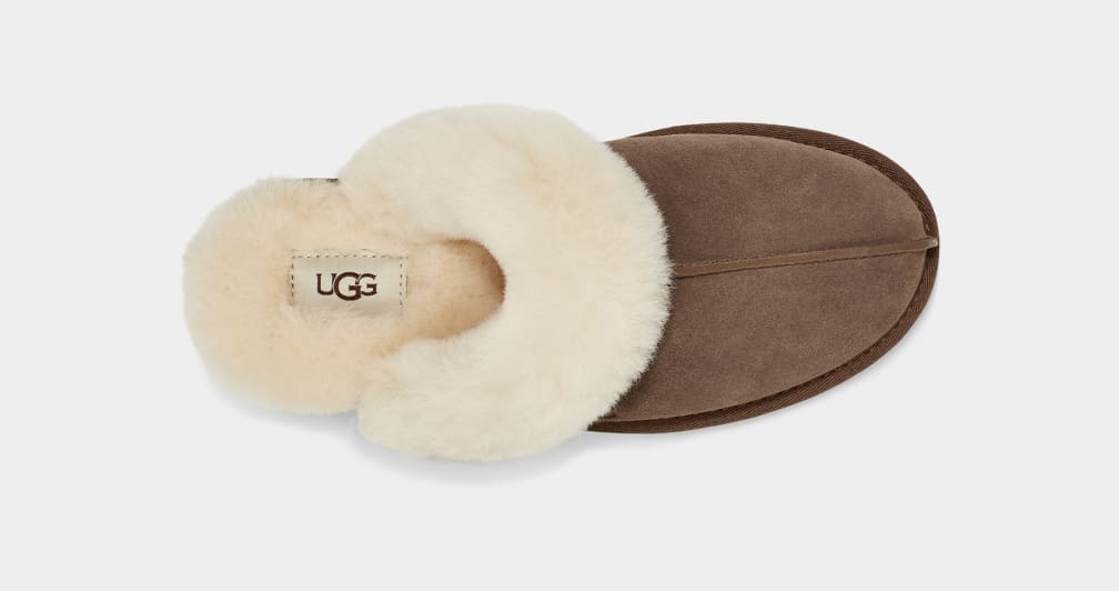 Pantuflas Ugg Scuffette II Mujer Marrones | Argentina ZNXRISL-21