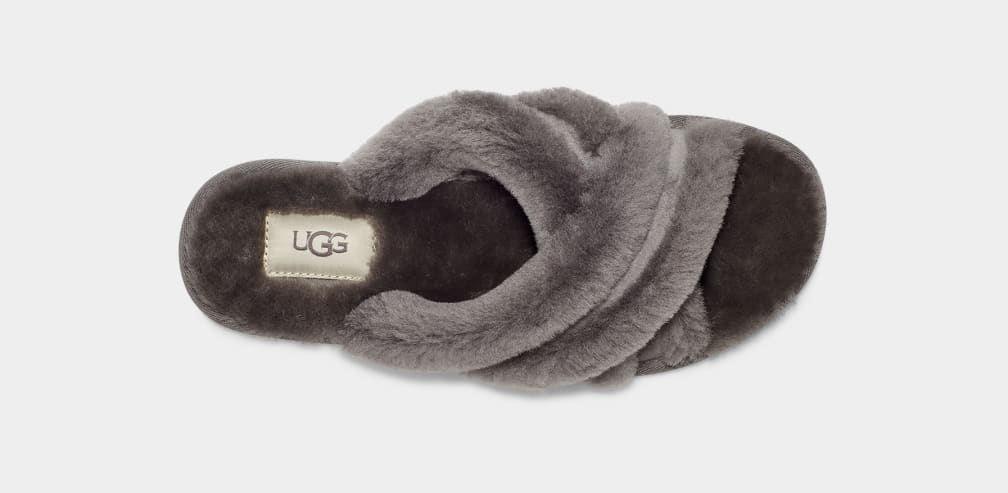 Pantuflas Ugg Scuffita Mujer Gris | Argentina ZFJVWTN-16