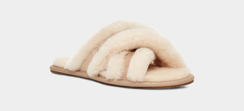 Pantuflas Ugg Scuffita Mujer Marrones | Argentina EAZYDJL-28