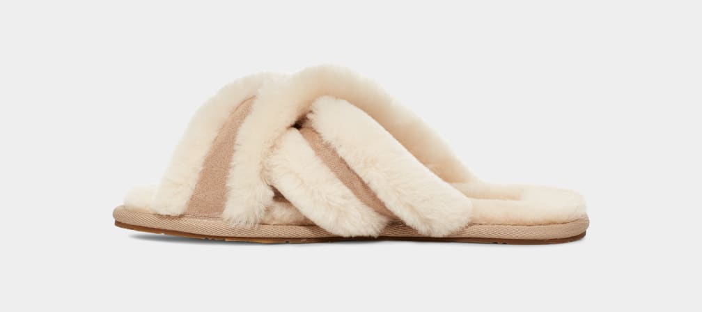 Pantuflas Ugg Scuffita Mujer Marrones | Argentina EAZYDJL-28