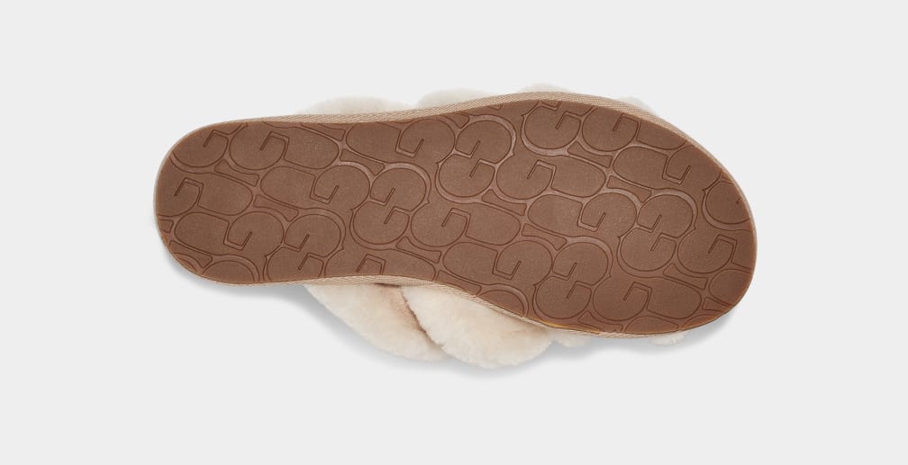 Pantuflas Ugg Scuffita Mujer Marrones | Argentina EAZYDJL-28