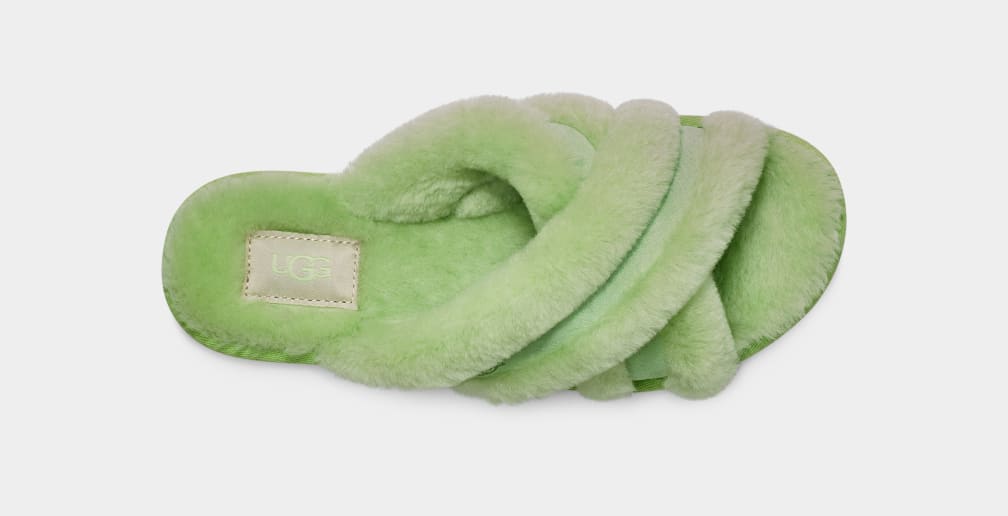 Pantuflas Ugg Scuffita Mujer Verde | Argentina LAZMDPF-26