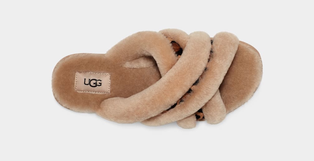 Pantuflas Ugg Scuffita Spotty Mujer Beige | Argentina SRPDXMC-65