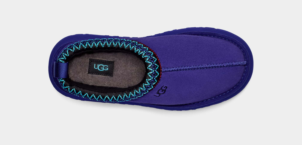 Pantuflas Ugg Tazz Mujer Azules | Argentina AYZOIVW-51