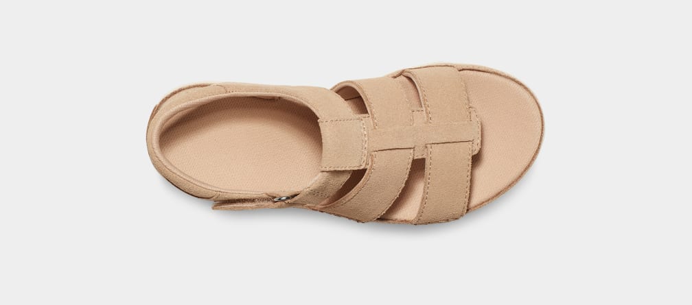 Sandalias Ugg Goldenstar Strap Niños Marrones | Argentina KVZOPQD-74