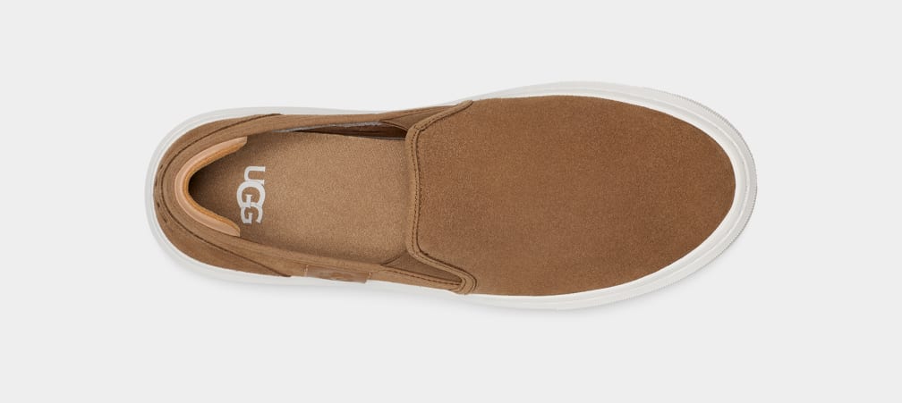 Slip On Ugg Alameda Suede Mujer Marrones | Argentina BMOGEAZ-70