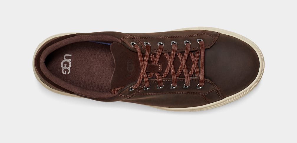 Zapatillas Ugg Baysider Low Weather Hombre Marrones | Argentina YXIFCVN-50