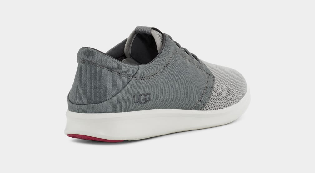 Zapatillas Ugg Greyson Hombre Gris | Argentina KRFDLCE-43