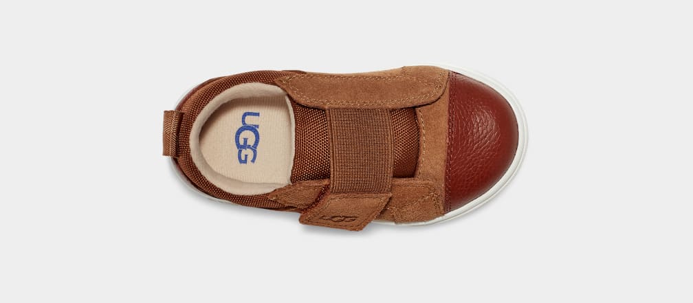 Zapatillas Ugg Rennon Low Niños Marrones | Argentina UCMQJTF-51