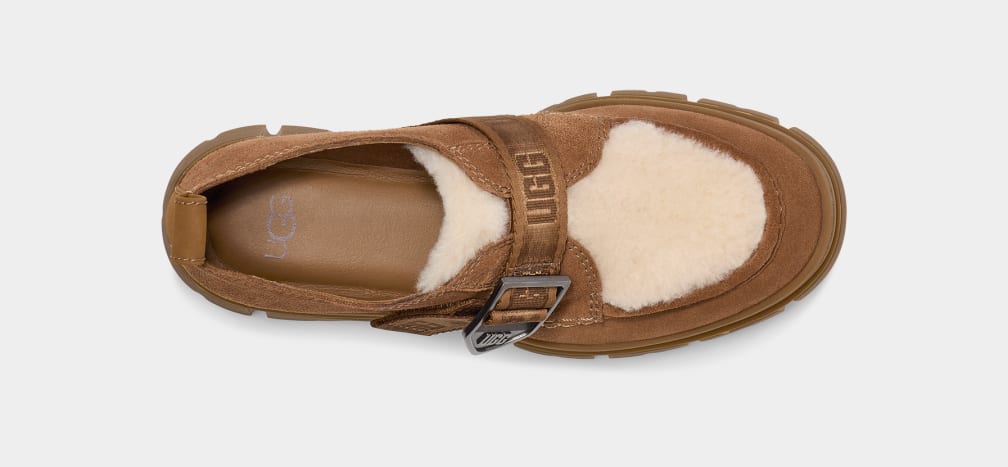 Zuecos Ugg Ashton Suede Mujer Marrones | Argentina TDOYSCN-54