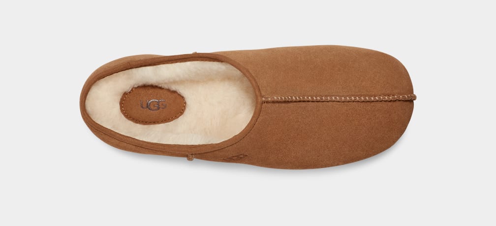 Zuecos Ugg Cottage Mujer Marrones | Argentina MQLDIXS-39